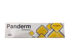 PANDERM OINT 15G