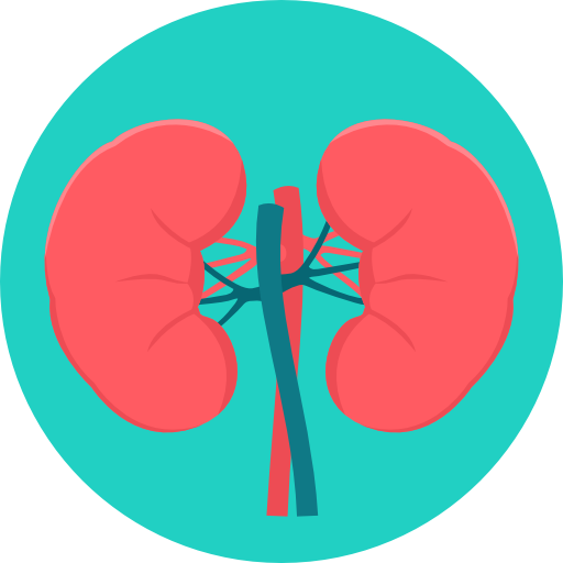 Kidney Conditions